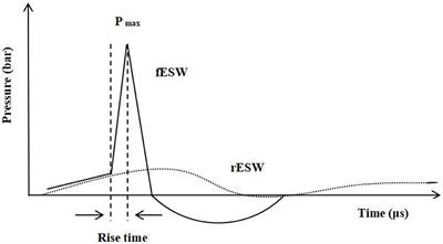 Application of extracorporeal shock wave therapy in nervous system diseases: A review